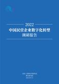 2022中国民营企业数字化转型调研报告