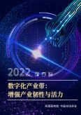 数字化产业带：增强产业韧性与活力