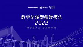 2022数字化转型指数年度报告