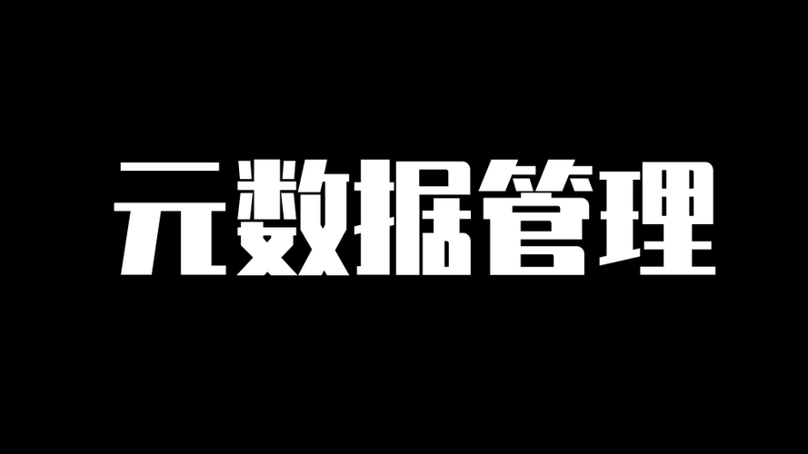 好用的元数据管理工具是什么样