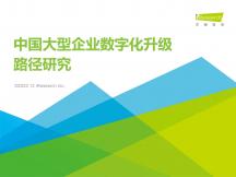 2022年中国大型企业数字化升级趋势研究