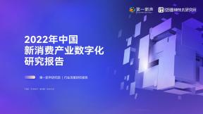 2022年中国新消费产业数字化研究报告