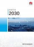 数据存储2030白皮书