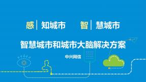 智慧城市和城市大脑解决方案