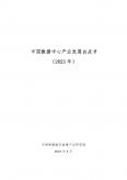 中国数据中心产业发展白皮书（2023年）