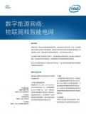 数字能源网络： 物联网和智能电网