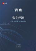 数字经济产业分析报告（省市版）