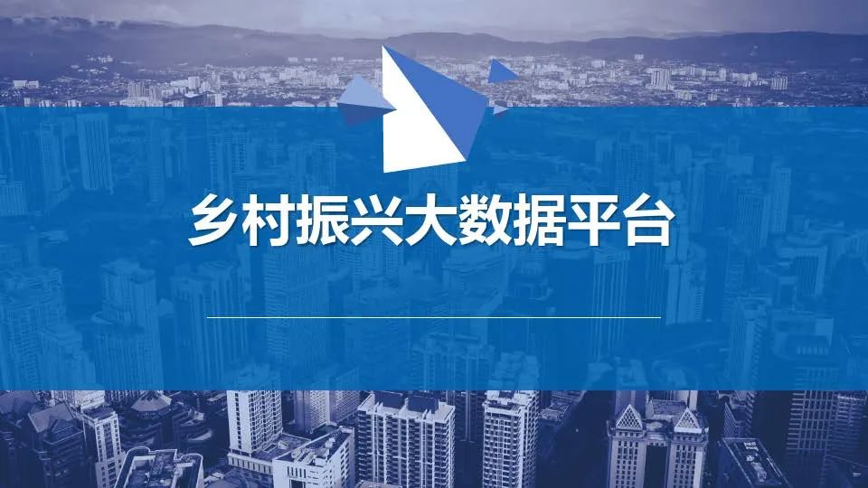 乡村振兴大数据平台解决方案